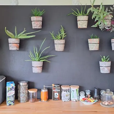 Apartment Pelen Wypas - Dziadowka *