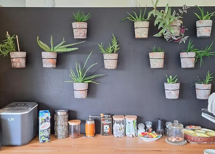 Apartament Pełen Wypas - Dziadówka *